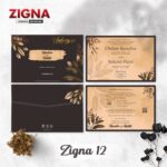 ZIGNA 12